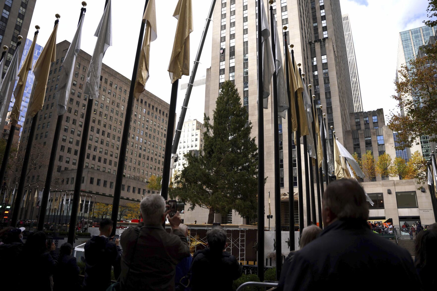 Rockefeller Center Tree